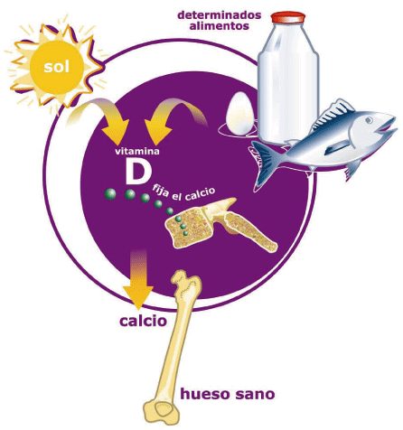 Vitaminda D