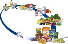 Alimentación saludable