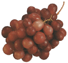 uvas
