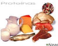 proteinas2