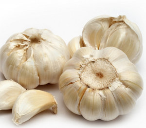 ajo