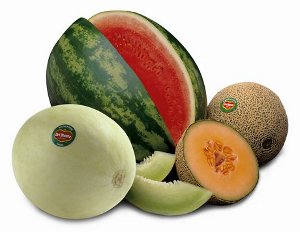 sandia-melon