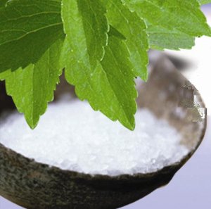 stevia